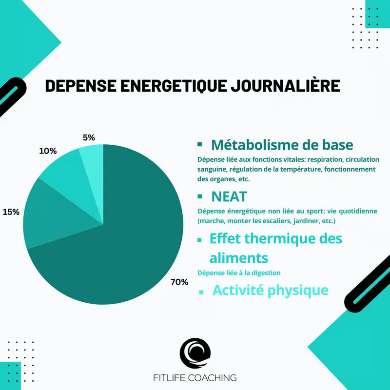 Le déficit calorique: qu&rsquo;est-ce que c&rsquo;est vraiment?